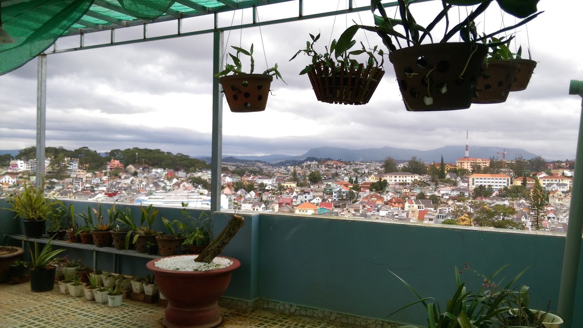 Hai Long Vuong Hotel Dalat Bagian luar foto